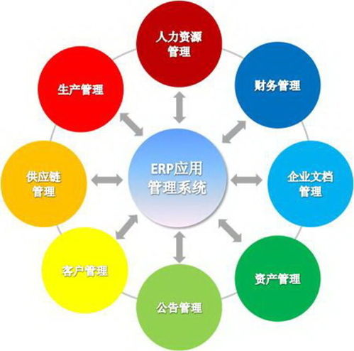上海企業(yè)軟件開發(fā) 機(jī)遇、挑戰(zhàn)與發(fā)展趨勢